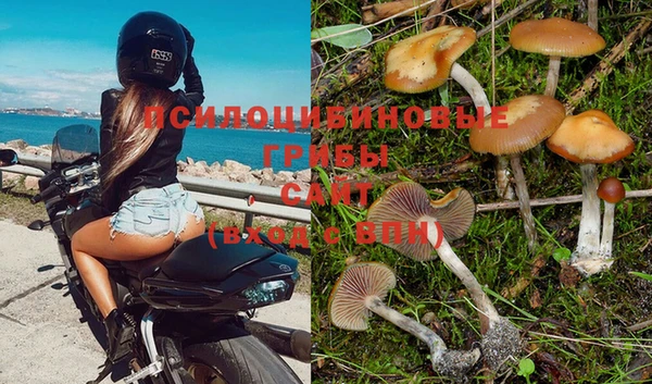 СК Абаза