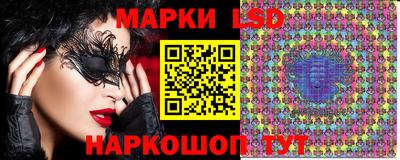 стаф Новодвинск